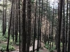 -芦芽山旅游度假区