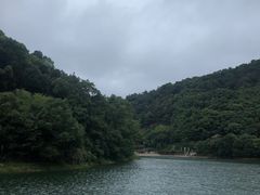 -桃花岭景区