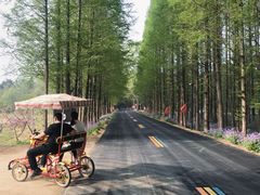 -日照灯塔风景区