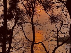 -青岛海尔洲际酒店