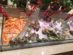 -昆明南亚风情园豪生大酒店-泰式国际海鲜自助餐厅