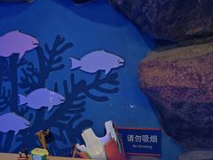 -烟台海昌鲸鲨海洋公园