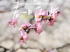 -北京明城墙遗址公园