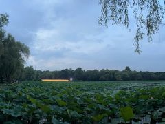 -长春市南湖公园