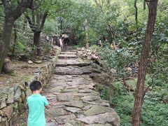 -北京鹫峰国家森林公园