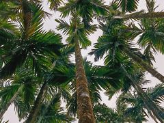 -七仙岭温泉国家森林公园