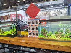 -京东养车(岳各庄店)