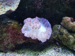 -大连老虎滩海洋公园