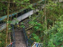 -九龙江国家森林公园