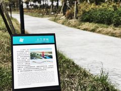 -春花秋色城市公园