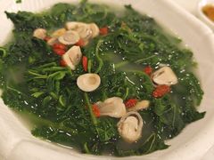 上汤桑叶-姚林轩