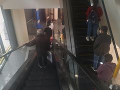 -首都医科大学附属北京天坛医院
