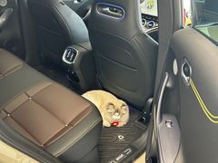 -上海浦东smart汽车全功能店(金桥店)