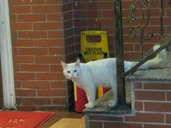 -沙湾姜撞奶甜品店(昌岗中路店)