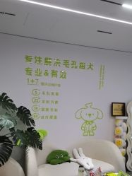 -凡碧诗毛孔清洁收细