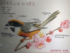 -上海昆虫博物馆