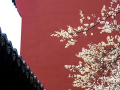 -钱王祠