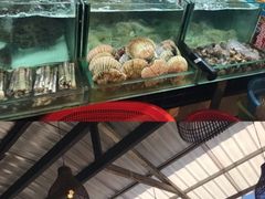 -班赞海鲜市场
