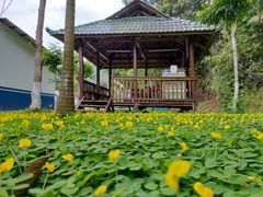 -松山湖梦幻百花洲