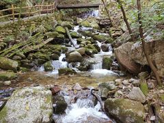 -青峰峡国家森林公园