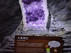 -正佳自然科学博物馆