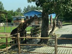 -西安秦岭野生动物园