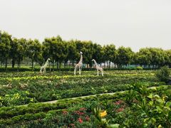 -广东花都香草世界旅游度假区