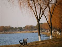 -漕湖湿地公园