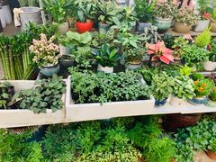 -双季花艺园艺市场(浦东店)