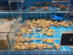 -渔纬港海鲜自助餐厅(湖里万达店)