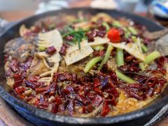 -老板恋上鱼(印象城店)