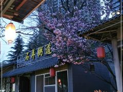 -石羊农庄