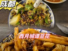 -西月城谭豆花(春熙路店)