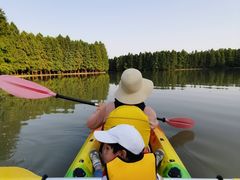 -上海海湾国家森林公园