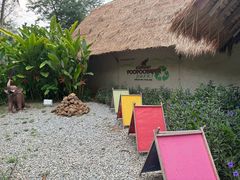 -大象粑粑造纸公园