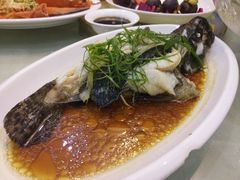 清蒸石斑鱼-鑫悦楼煎蟹·16年海鲜大排档