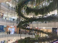 -凯德广场(学府店)