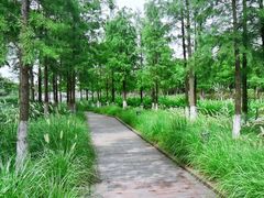 -映月湖公园