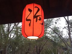-西安国际创新人才交流中心•药浴温泉