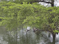 -海珠湖公园