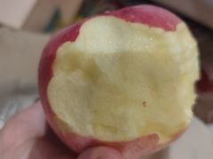 -黄山白云宾馆