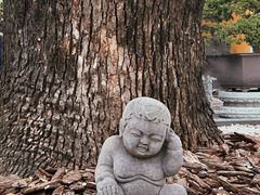 -龙华寺