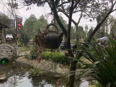 -青城甲(青城山店)