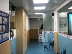 -宠颐生猫科·内科皮肤科(西平世纪城店)