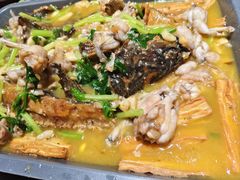 -美蛙四季(亦庄店)