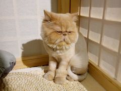 -小时光咖啡馆(开森度假森林店)