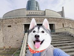 -龙泉青瓷博物馆