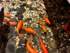 -邈墨茶馆(凤起路店)