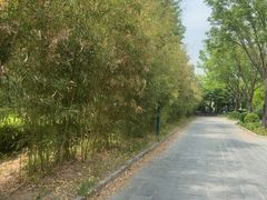 -春满园生态餐厅(南宫路店)