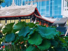 -帝京日语(春熙路旗舰校区)